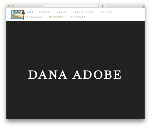 Divi WP theme - danaadobe.org