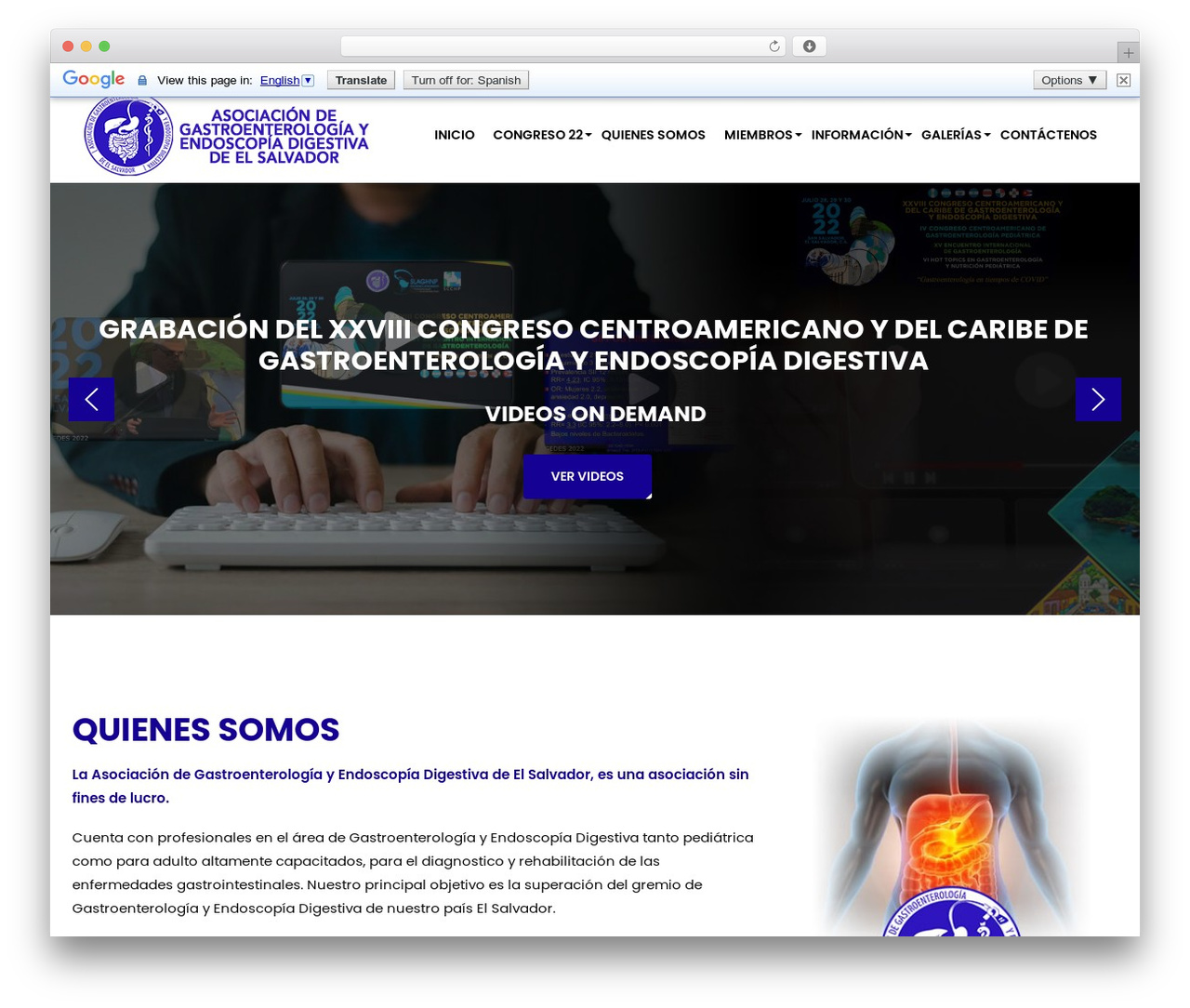 foxgedes theme WordPress - agedes.org