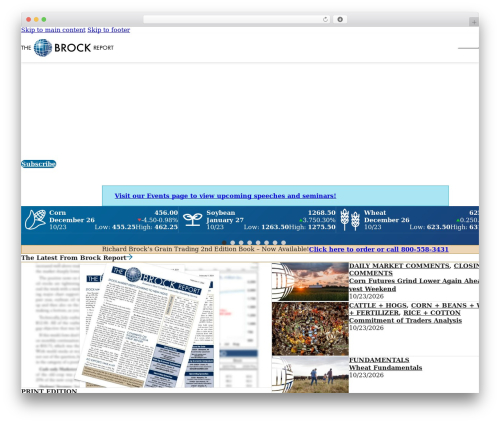 WordPress theme Bricks - brockreport.com
