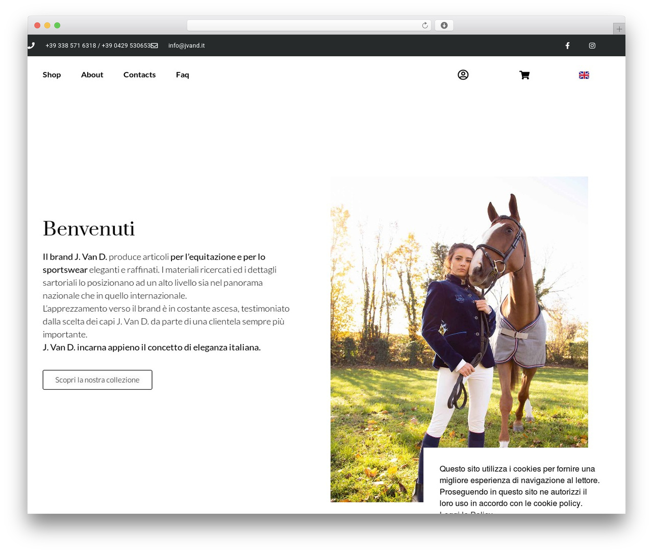 WordPress theme Hello Elementor - jvand.it