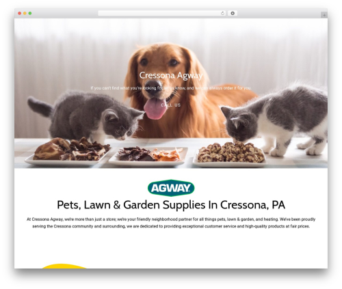 Constructor best WordPress theme - cressona-agway.com