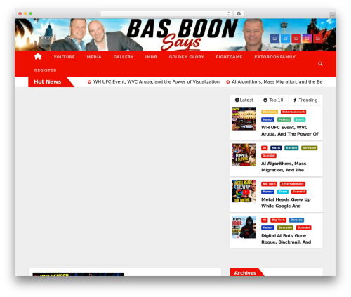 Newsup Pro WP theme - basboon.com