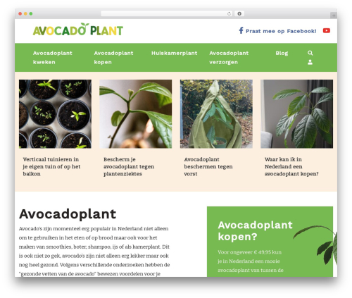 Pixel Example Theme premium WordPress theme - avocadoplant.nl