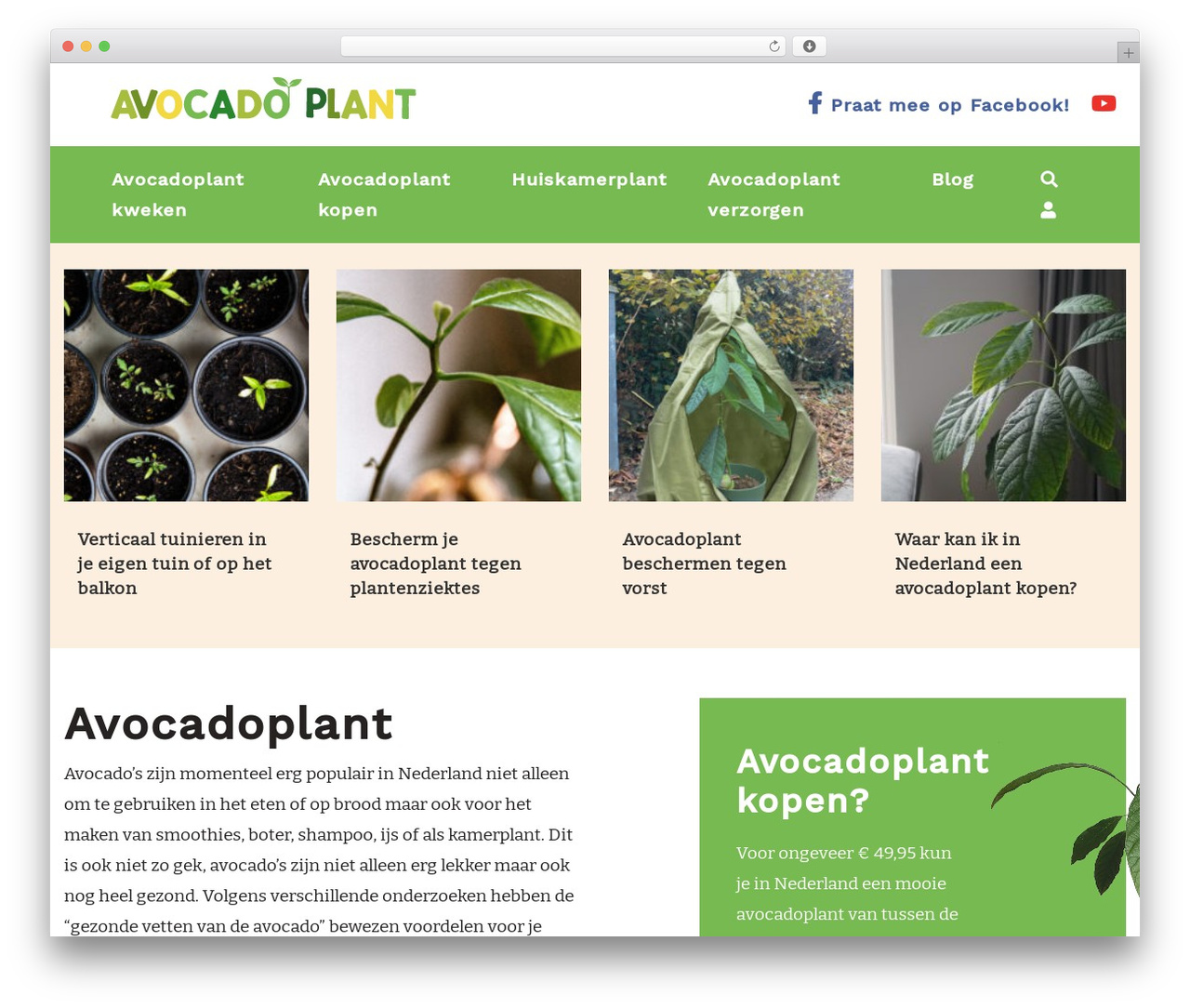 Pixel Example Theme premium WordPress theme - avocadoplant.nl