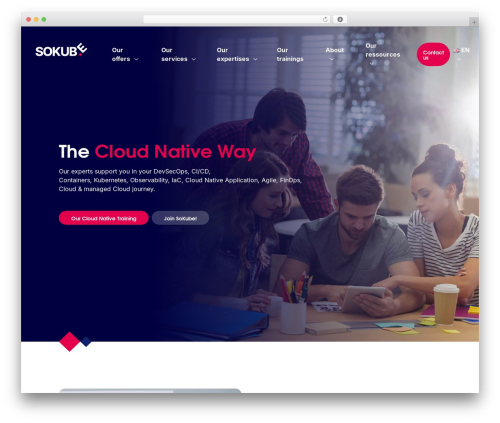 Starter Theme theme WordPress - sokube.io