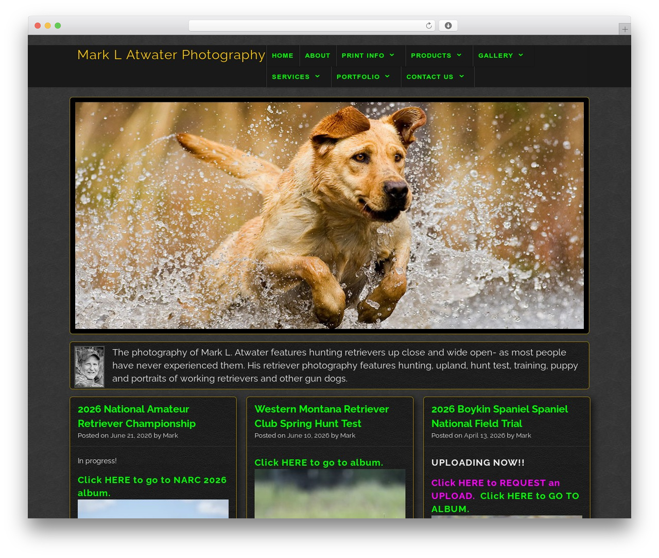 Visual_B WordPress theme image - upclosephoto.com Visual_B WordPress theme image - upclosephoto.com