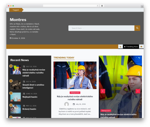 WordPress theme Blook - montres.cz