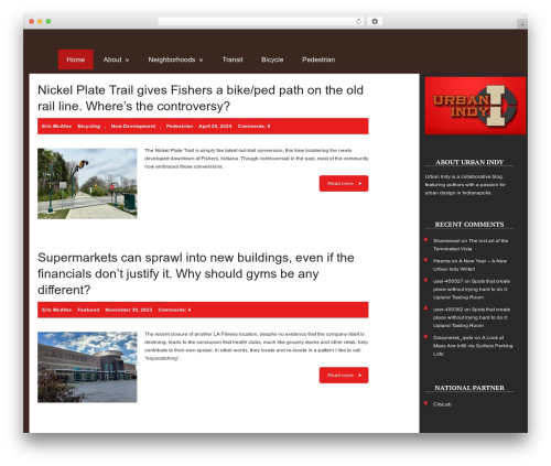 WordPress website theme Basic - urbanindy.com