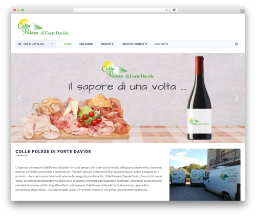 AllStore best WordPress theme - collepolese.com