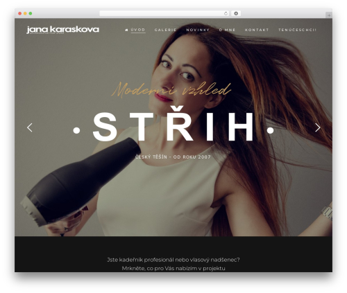 Curly core WordPress plugin - janakaraskova.cz