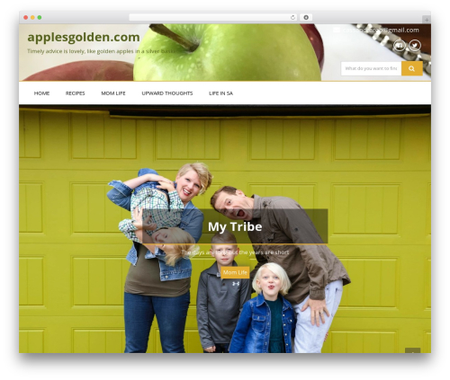 Enigma free WordPress theme - applesgolden.com