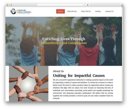 Gainioz WordPress theme - cgkcharitabletrust.com