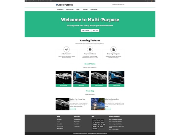 MultiPurpose WordPress page theme by Shaon