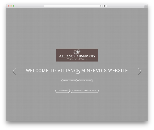 Facebook Stream (facebook-stream) free WordPress plugin - allianceminervois.com Facebook Stream (facebook-stream) free WordPress plugin - allianceminervois.com