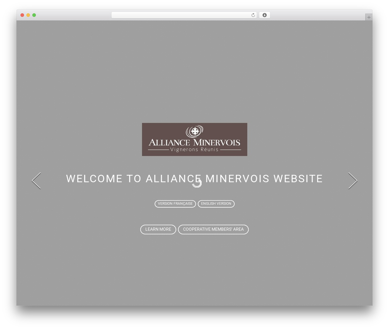 Newave Child WP theme - allianceminervois.com Newave Child WP theme - allianceminervois.com