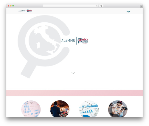 Optimizer PRO theme WordPress - alammu.it