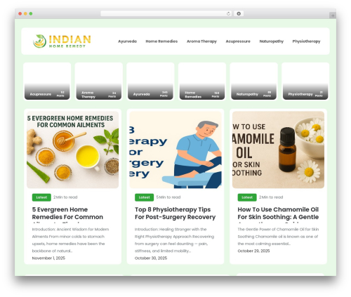 Overall Blog theme WordPress - indianhomeremedy.com