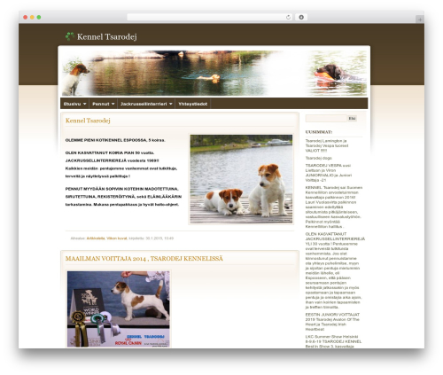 Peaceful Rush top WordPress theme - ajanto.fi