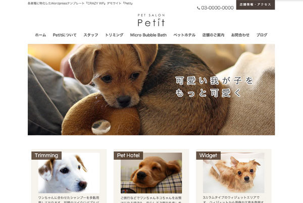Petit WordPress website theme by CRAZY WP