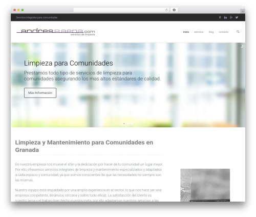Salbii WP theme - andresbaena.com
