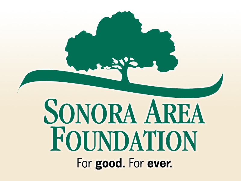 Sonora Area Foundation top WordPress theme by Level One Web Design
