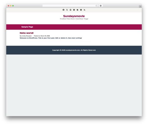 Superfast WordPress video theme - sundaysmovie.com