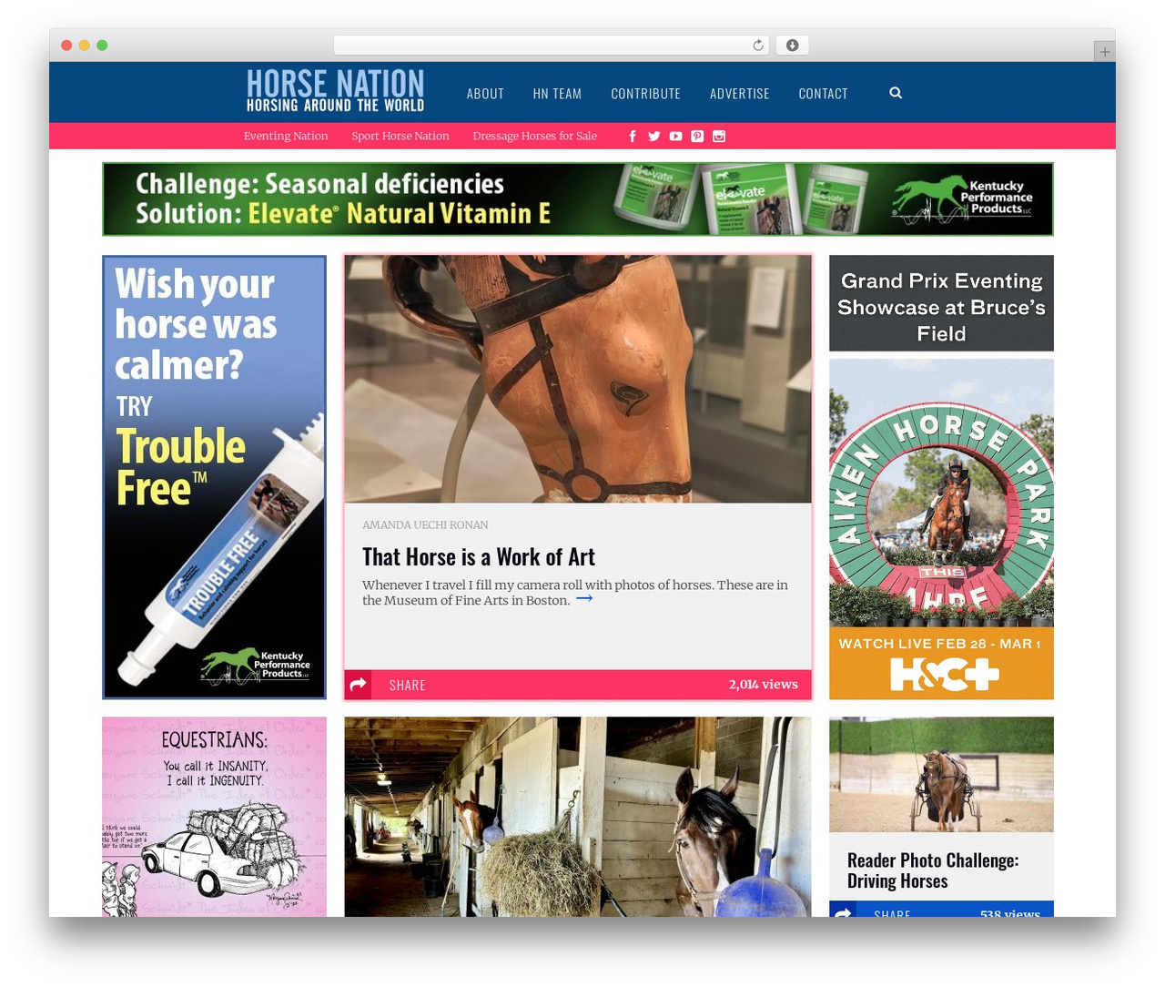 Sympagrid WordPress theme - horsenation.com Sympagrid WordPress theme - horsenation.com