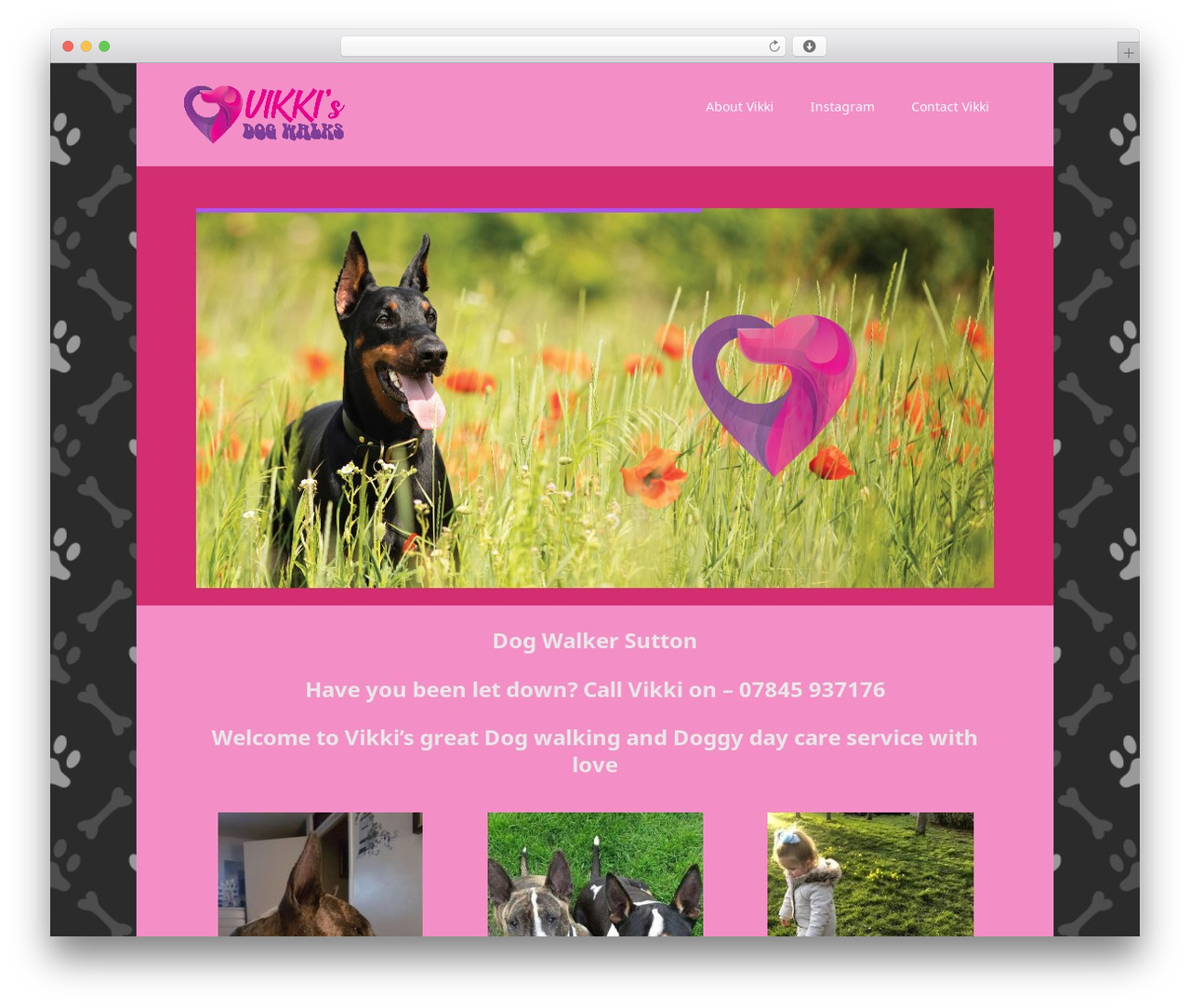 Vellum WordPress theme - vikkisdogwalks.co.uk