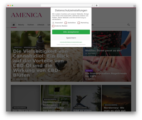 Woohoo theme WordPress - amenica.de