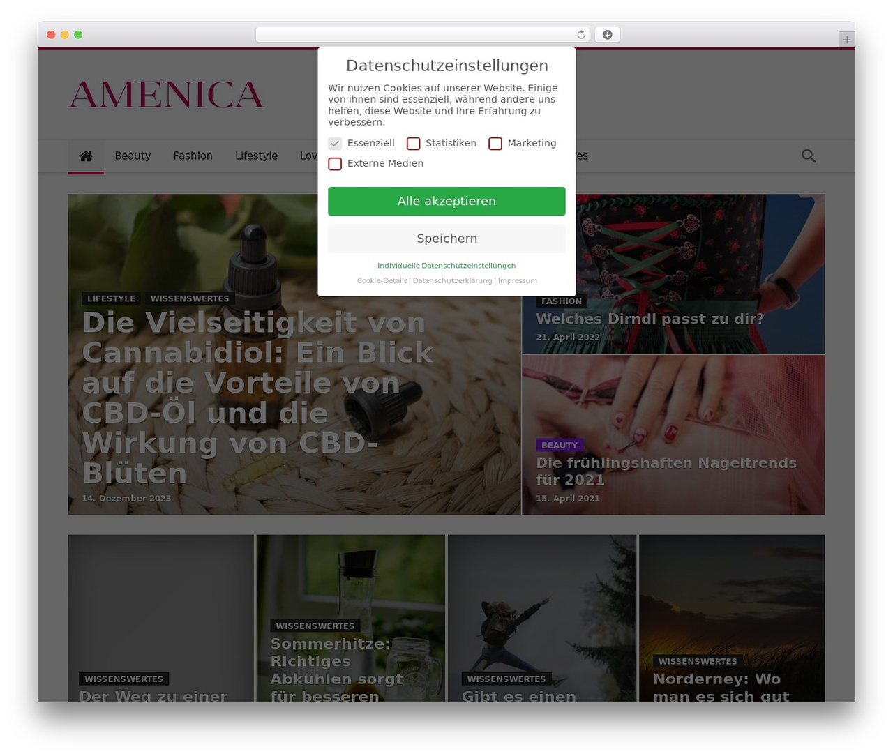 Woohoo theme WordPress - amenica.de