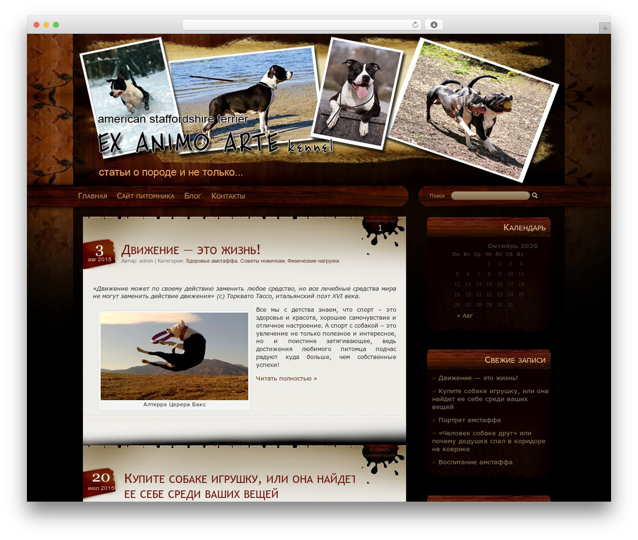 WordPress theme Blak Magik - article.ex-animo-arte.ru WordPress theme Blak Magik - article.ex-animo-arte.ru