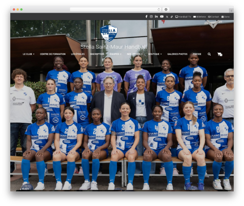 Envira videos WordPress plugin - www.stellahandball.fr