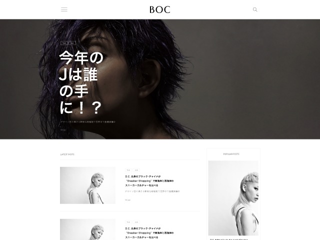 WordPress website theme aTheme