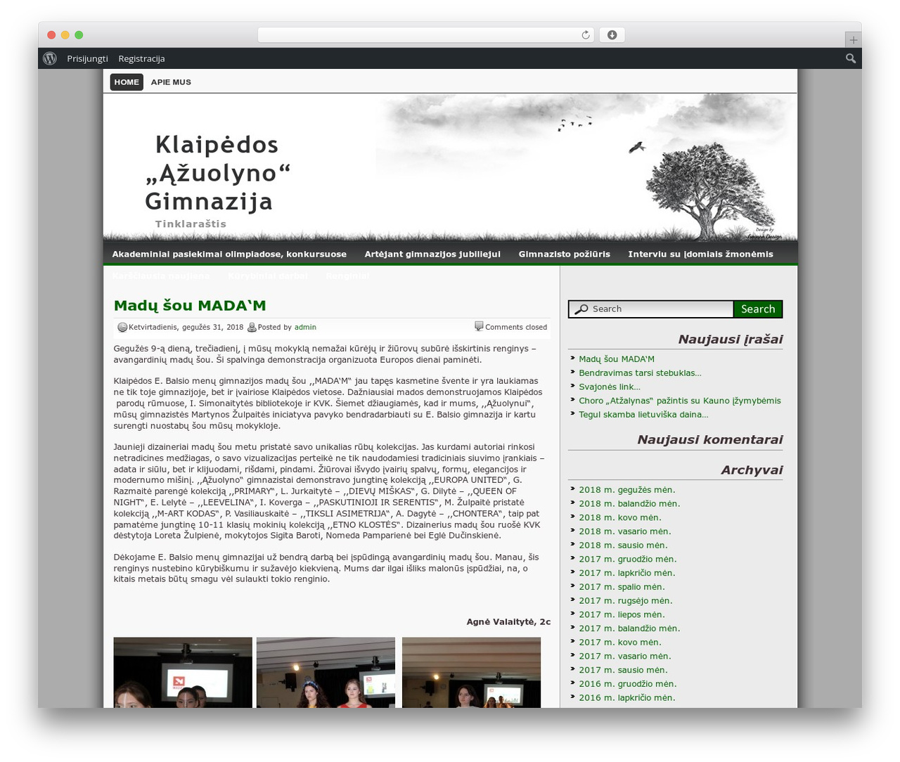 WordPress website theme Lonelytree - azuolynas.blogr.lt