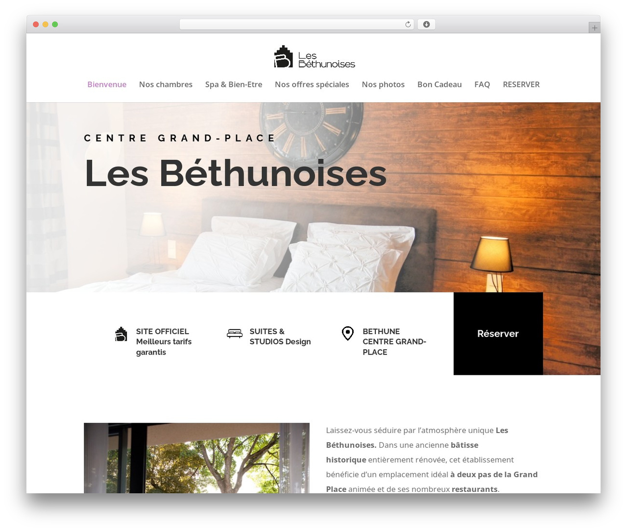 WP theme Divi - lesbethunoises.com