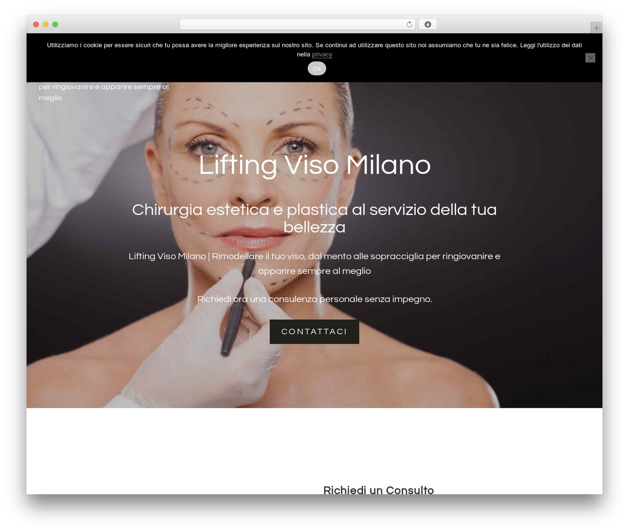 WP theme Genesis - liftingvisomilano.com WP theme Genesis - liftingvisomilano.com