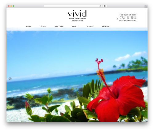 Really simple calendar WordPress plugin - hair-vivid.com