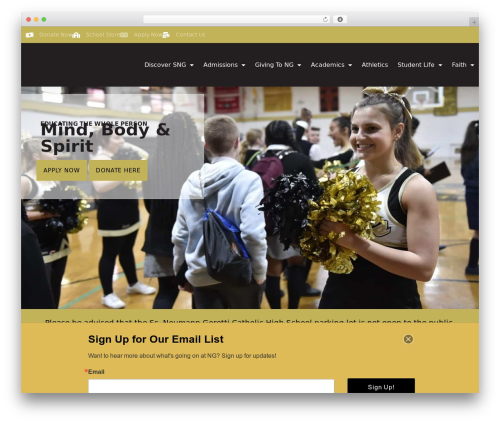 Hello Elementor theme WordPress - neumanngorettihs.org