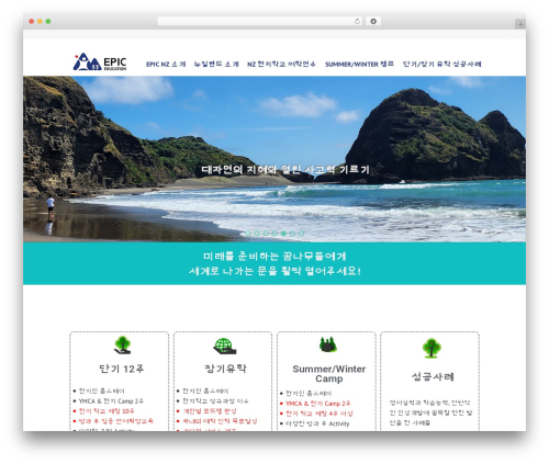Korea SNS (korea-sns) free WordPress plugin - nzepic-edu.com