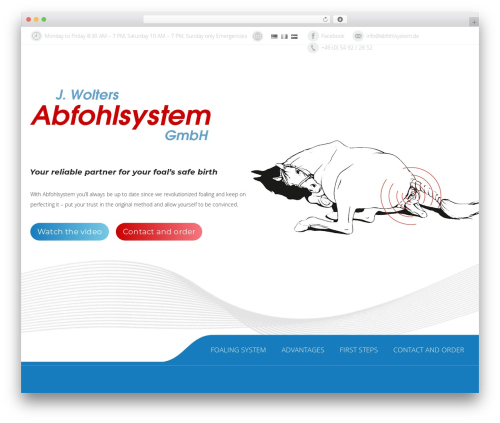 WordPress Slider Plugin – Block Slider (block-slider) free WordPress plugin - abfohlsystem.de