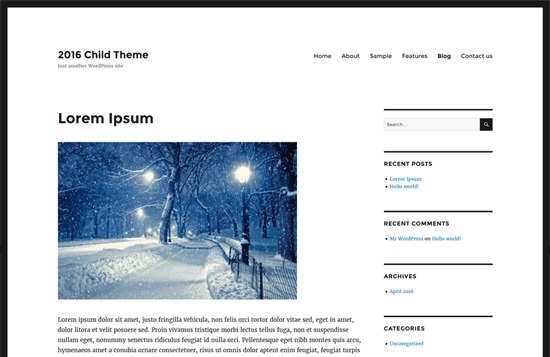 WordPress website theme ASK Theme by 1SkyMedia
