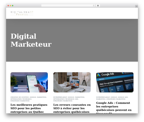 digital smart frames WordPress website theme - digitalsmartframes.com