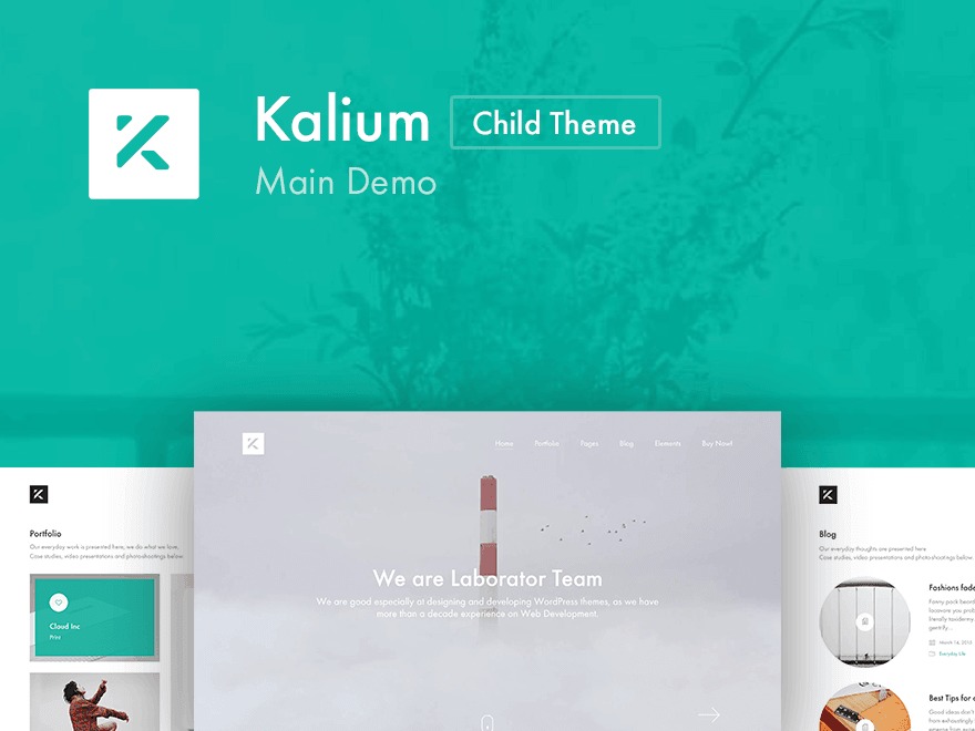 Kalium - Main Theme WP template