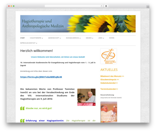 Theme WordPress Tiny Forge - hagio.at Theme WordPress Tiny Forge - hagio.at