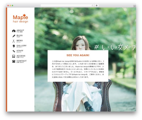 Schema creator WordPress plugin - maple-hairdesign.com
