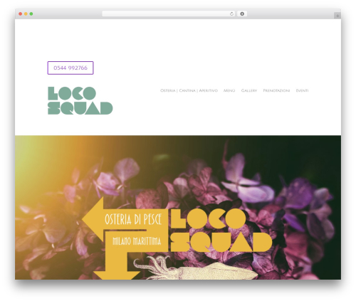 Divi WordPress theme - locosquad.it