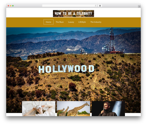 Elementor1 WordPress plugin - howtobeacelebrity.com