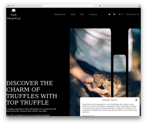 Easy testimonial blocks WordPress plugin - toptruffle.it