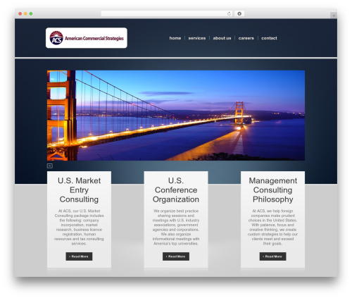 WordPress Theme 1447 WordPress theme - amcmcs.com