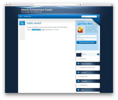 intrepidity premium WordPress theme - atlantaentrepreneurcoach.com